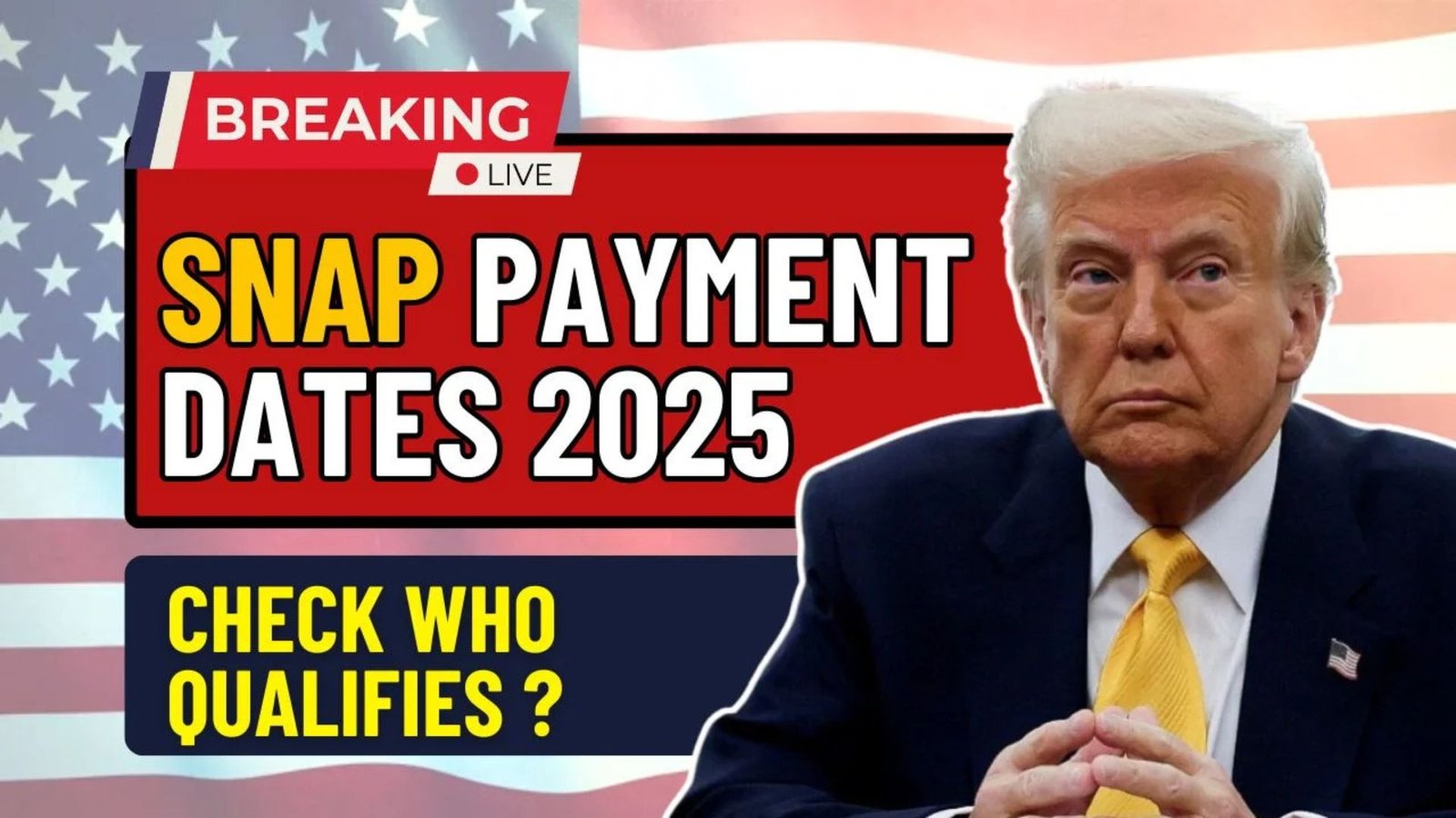 SNAP Payment Dates December 2025: Full Eligibility Guide & State Payment Timelines